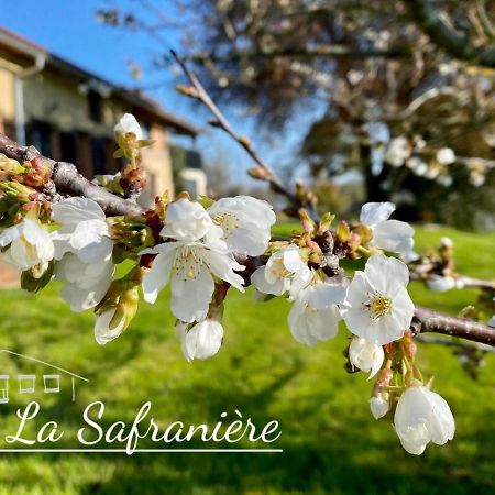 La Safraniere Villa Lagraulet-Saint-Nicolas ภายนอก รูปภาพ