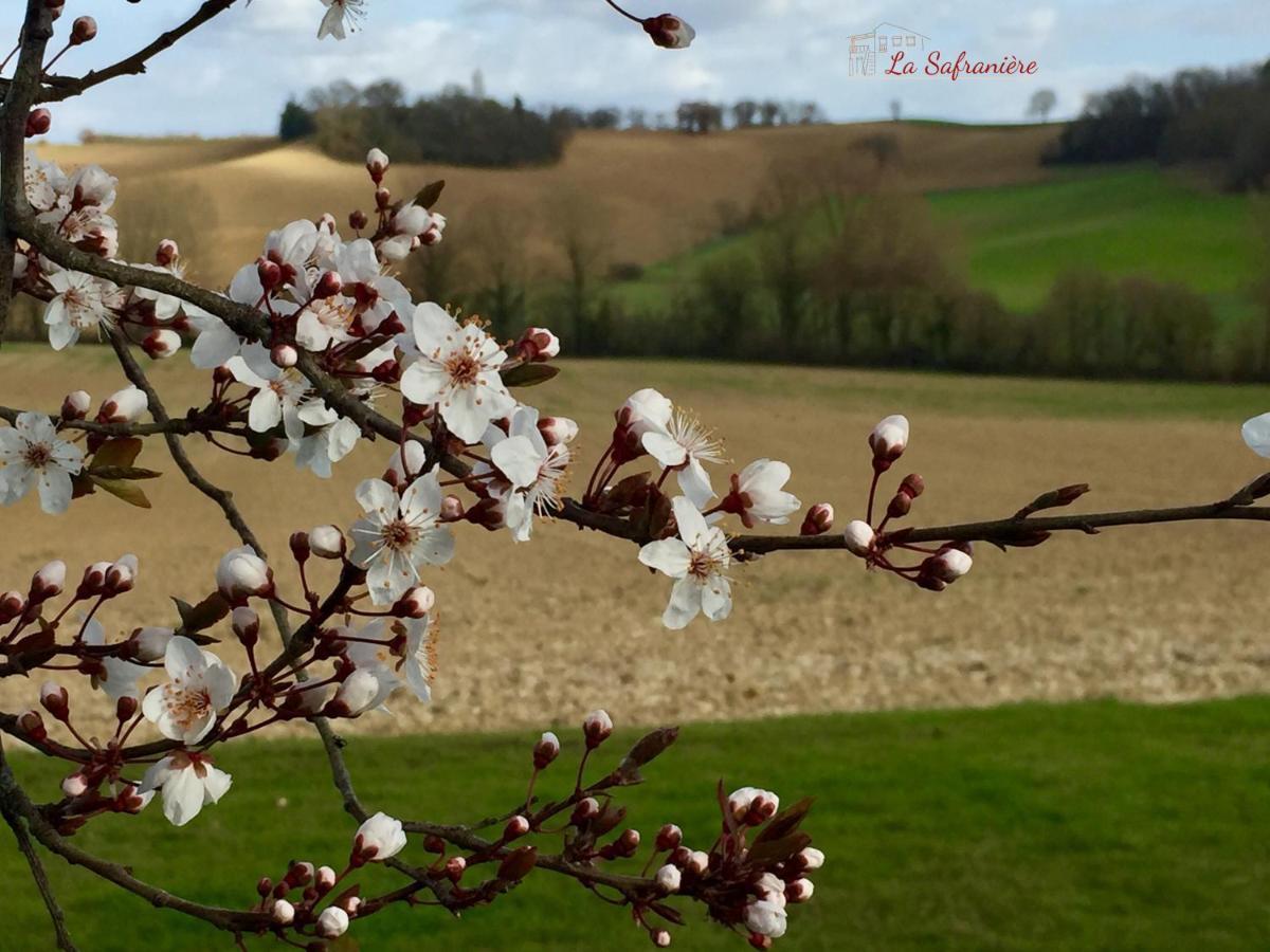 La Safraniere Villa Lagraulet-Saint-Nicolas ภายนอก รูปภาพ