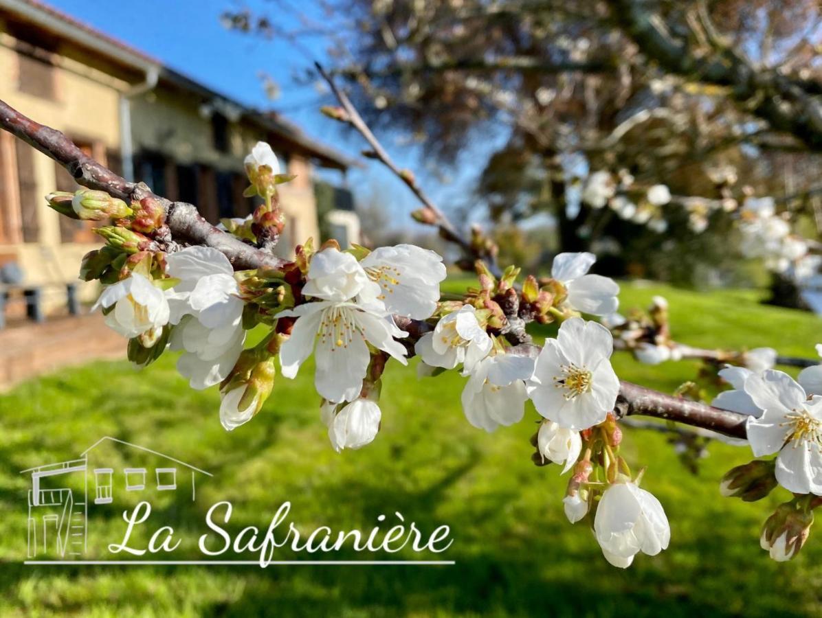 La Safraniere Villa Lagraulet-Saint-Nicolas ภายนอก รูปภาพ