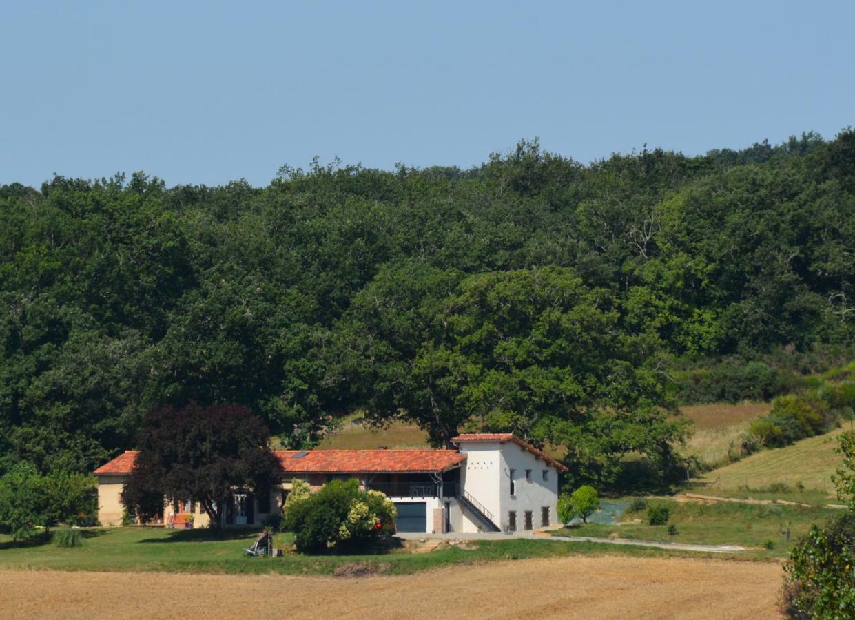 La Safraniere Villa Lagraulet-Saint-Nicolas ภายนอก รูปภาพ